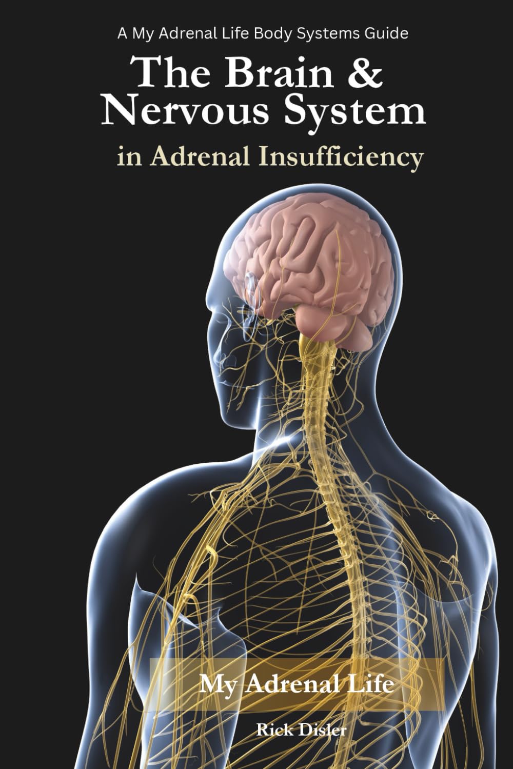 The Brain and Nervous System in Adrenal Insufficiency